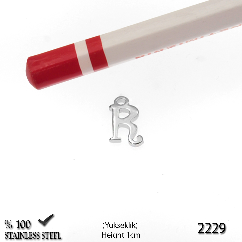 2229Z R Harfi Minik Kolye Paslanmaz Çelik