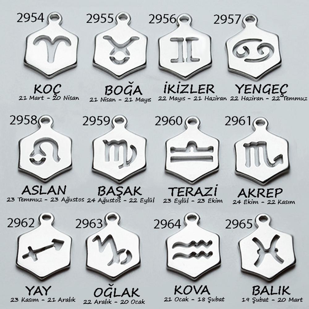 2964Z minik Kova burcu simgesi altıgen çelik burç kolye